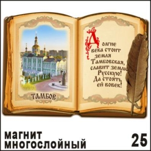 Магнит Тамбов (книга с пером)_1