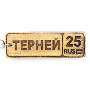 Брелок Номерной знак Терней 25 берестяной 62