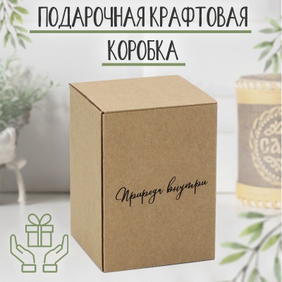 Коробка крафт 110*150мм (для туесов диаметром 10см) - сувенир